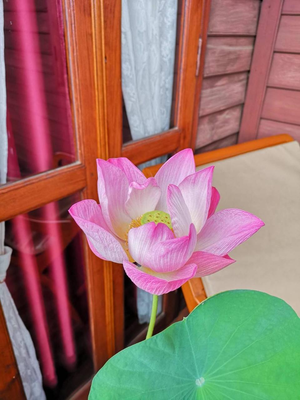 Baan Sithepaban Guesthouse Phitsanulok Exteriér fotografie